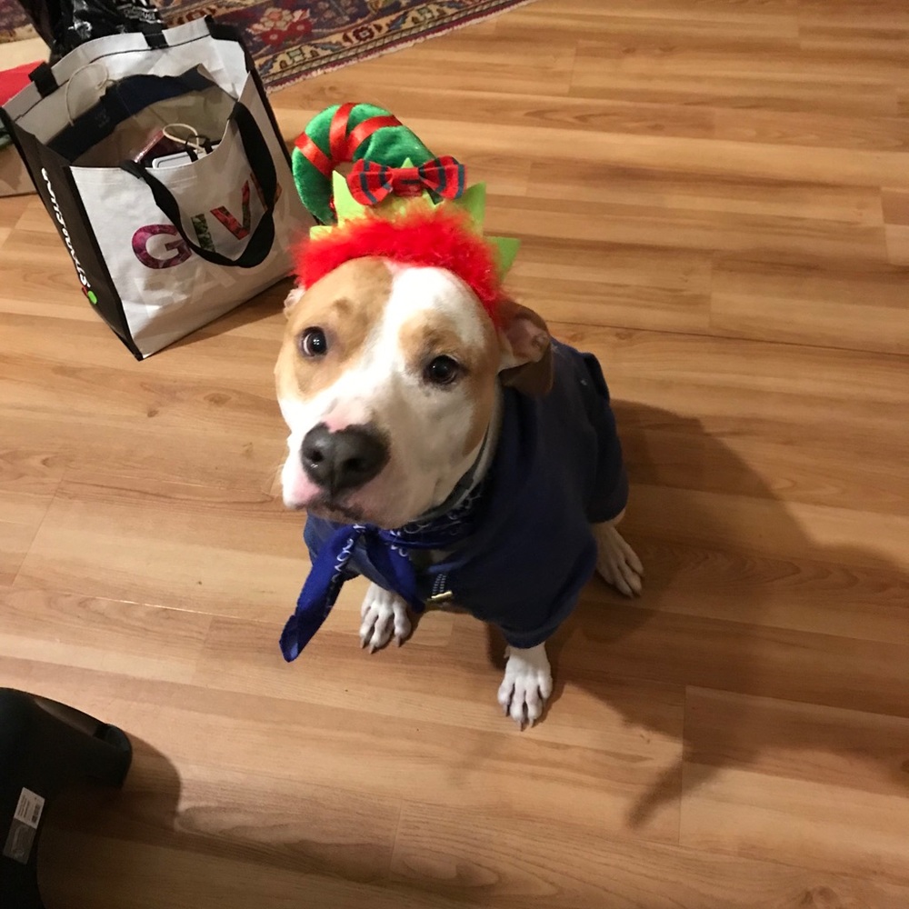 Meet your Posher, Kady